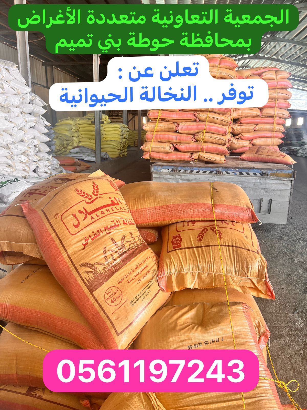 WhatsApp Image 2025-07-23 at 3.12.59 PM